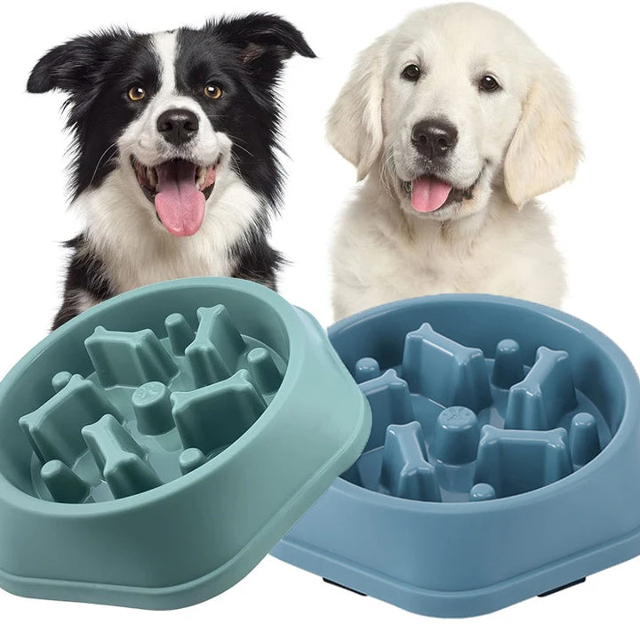 Slow Feeder Dog Bowl
