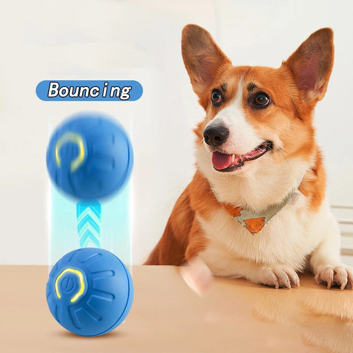 Cat/Dog Interactive Bouncing Ball