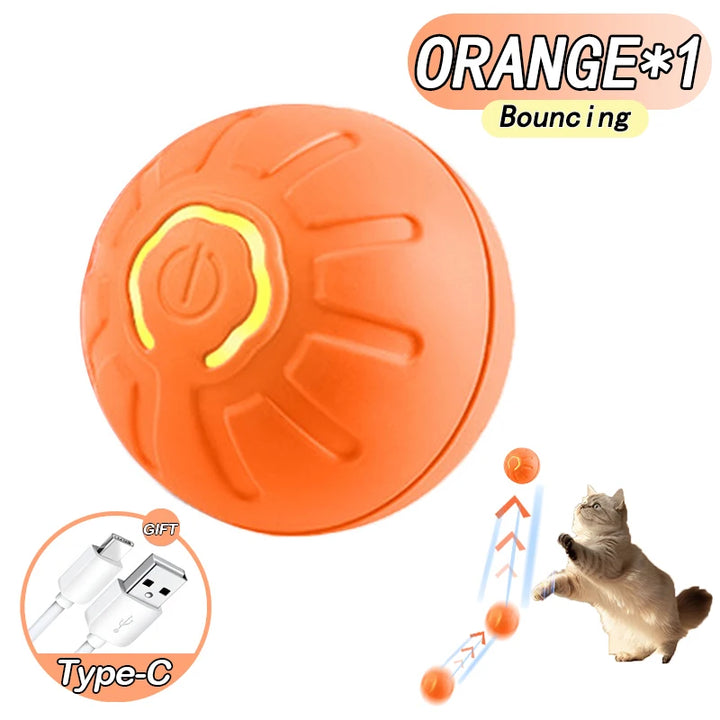 Cat/Dog Interactive Bouncing Ball